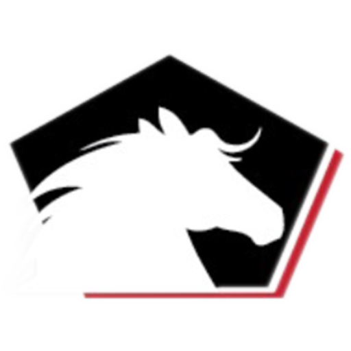 Desert Horse Cargo Support